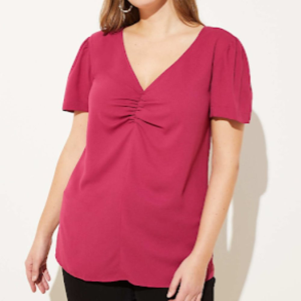 Loft Pink Cinched V-Neck Top 22W